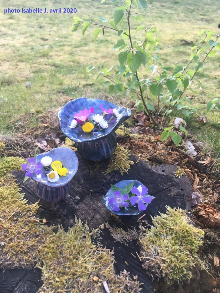 vases à pâquerettes (avec des primevères) - grès émaillé