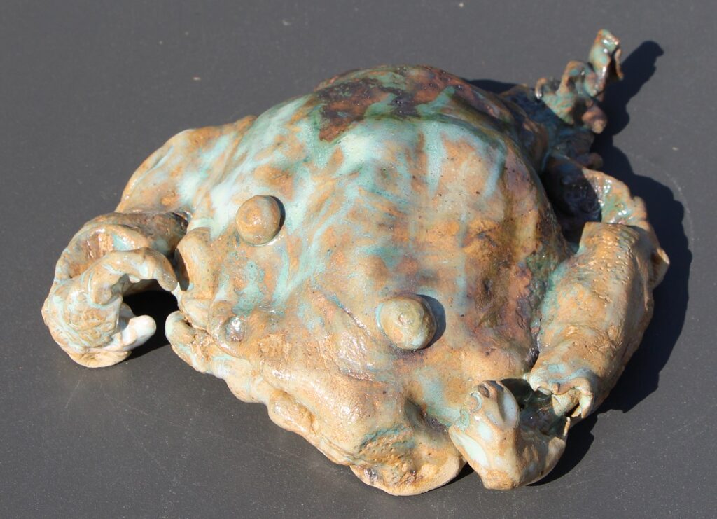fossile - grès