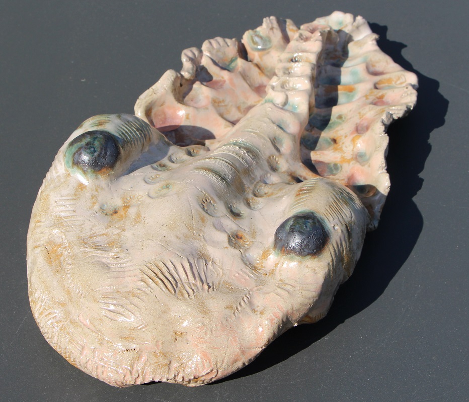 fossile - grès