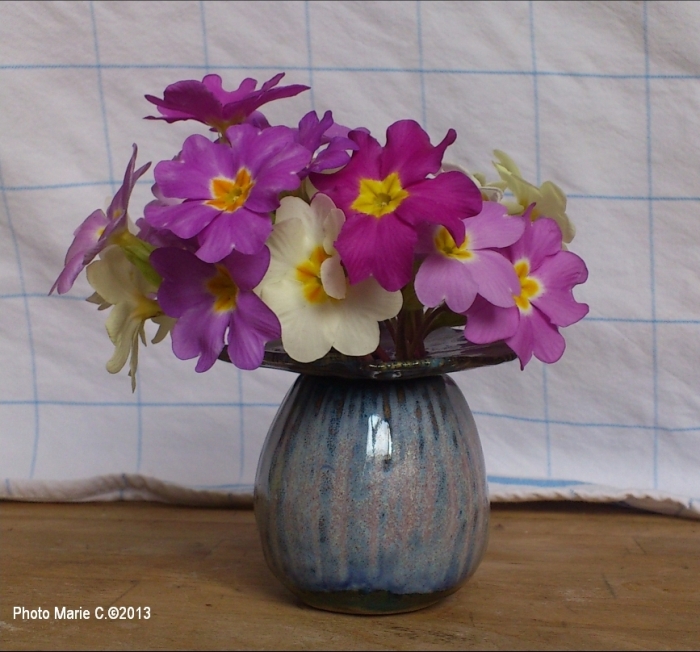 vase à pâquerettes (avec des primevères) - grès émaillé